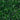 20" x 20" Artificial Boxwood Mat Wall Panel - Set of 12