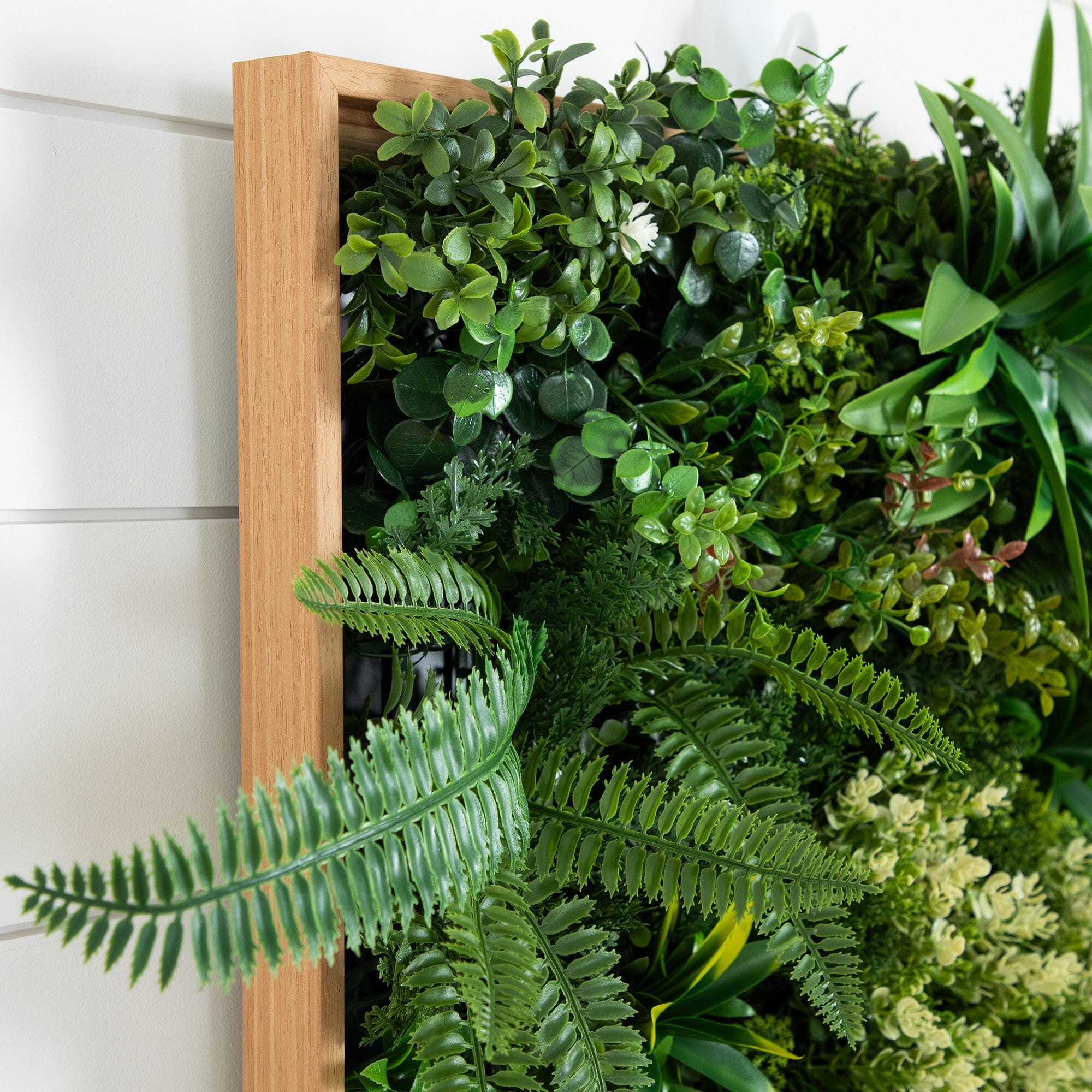 20” x 20” UV Resistant Queensland Rainforest Artificial Living