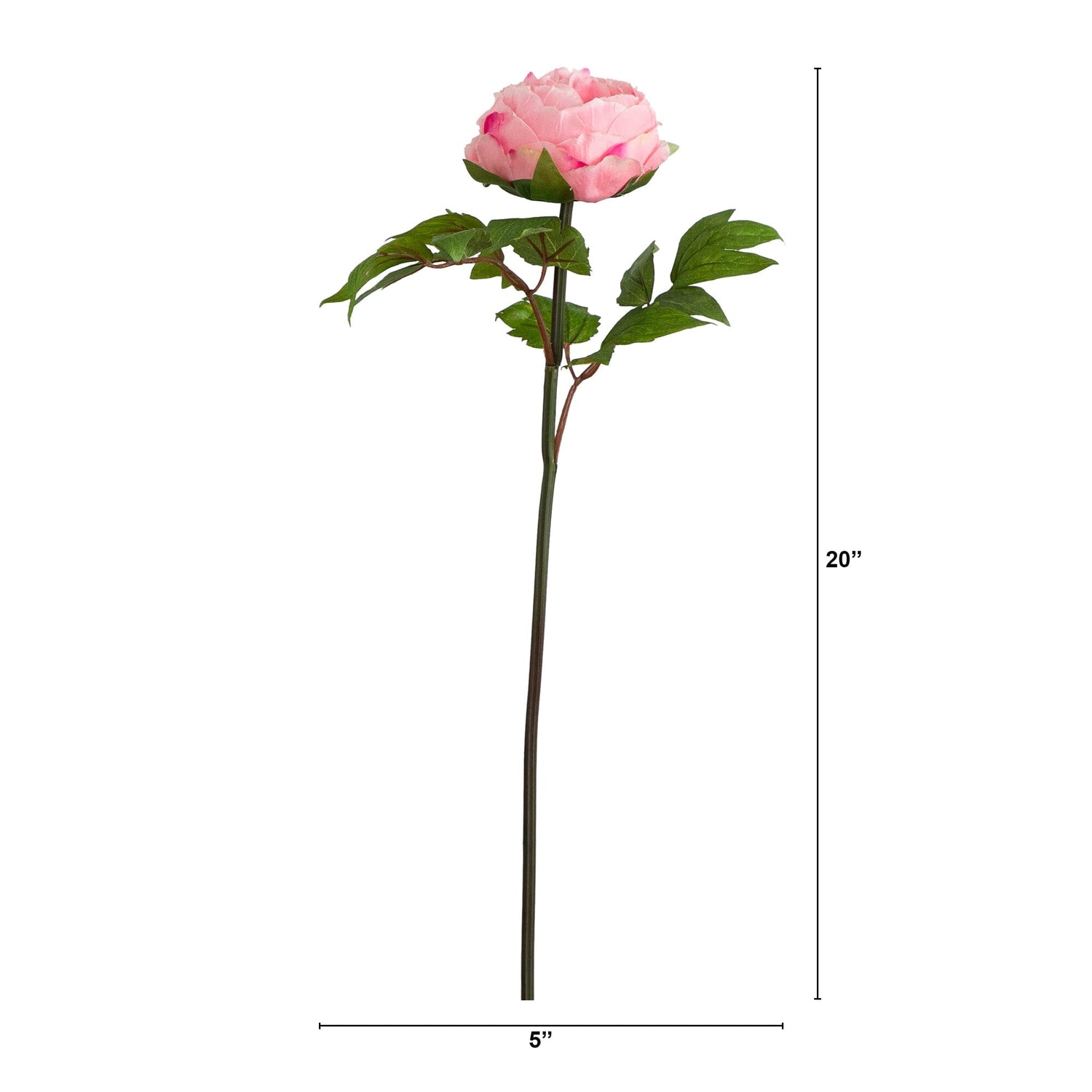 20"Artificial Peony Flower Stems - Set of 3