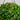 21” UV Resistant Artificial Lily and Eucalyptus Hanging Basket (Indoor/Outdoor)