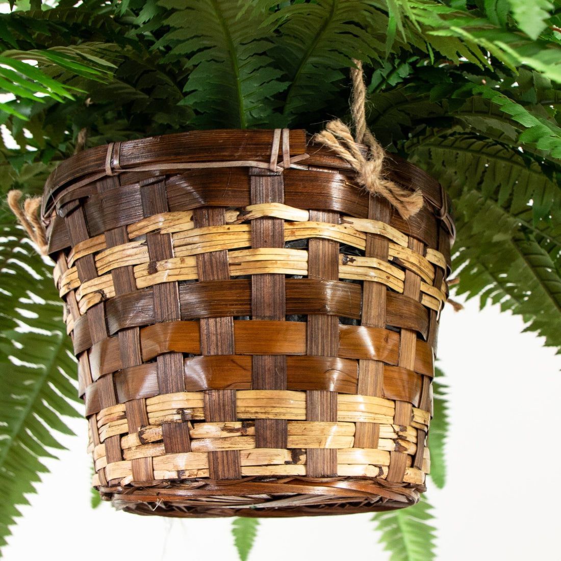 large plant hanging basket Nearly Natural Boston Fern Hanging Basket, Green