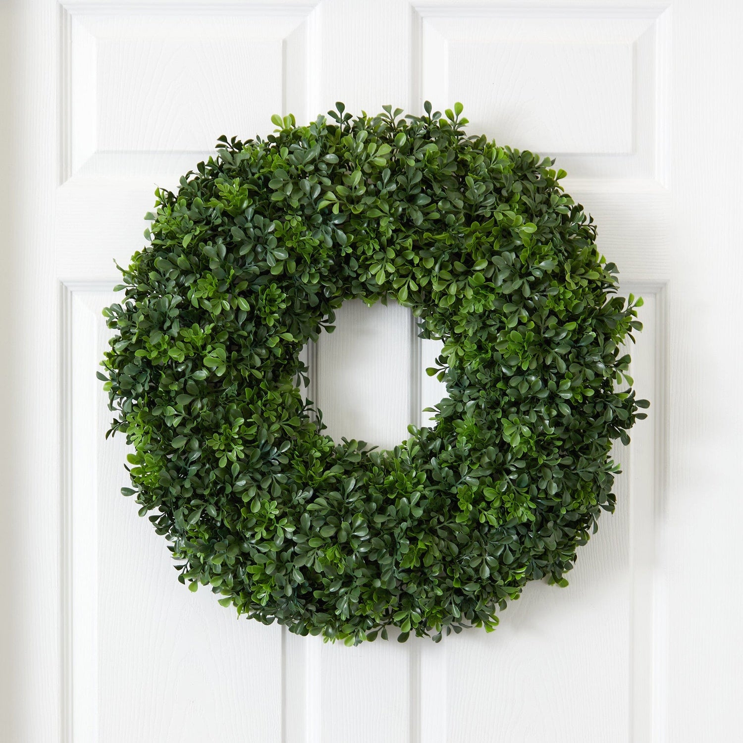 Boxwood Wreath, 22 Inches, Mardel