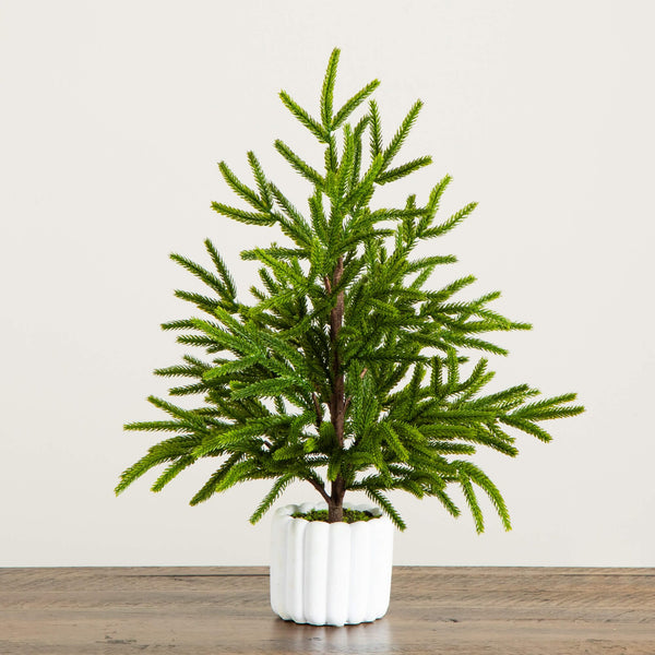 22" Artificial Real Touch Norfolk Island Pine in White Decorative Planter with Natural Look