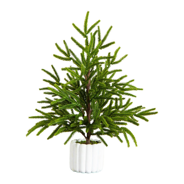 22" Artificial Real Touch Norfolk Island Pine in White Decorative Planter with Natural Look