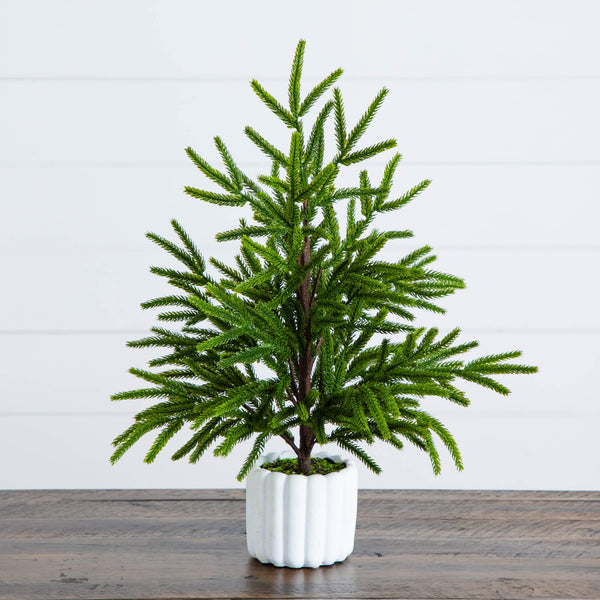 22" Artificial Real Touch Norfolk Island Pine in White Decorative Planter with Natural Look