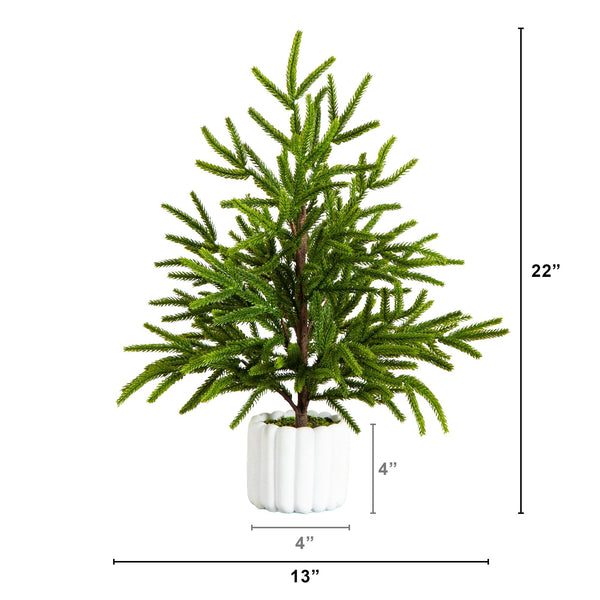 22" Artificial Real Touch Norfolk Island Pine in White Decorative Planter with Natural Look