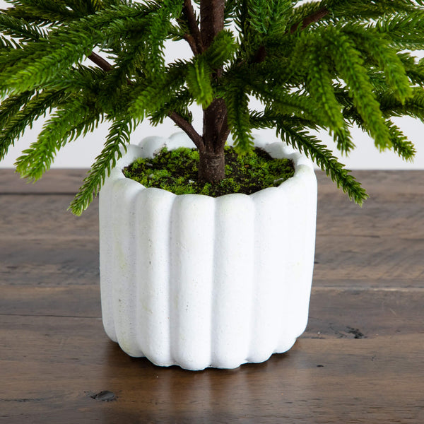 22" Artificial Real Touch Norfolk Island Pine in White Decorative Planter with Natural Look