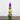 22” Mardi Gras Finial Table Decor