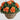 22” UV Resistant Artificial Camellia in Hanging Basket (Indoor/Outdoor)