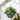 22” UV Resistant Artificial Mini Rose and Aptenia Hanging Basket (Indoor/Outdoor)