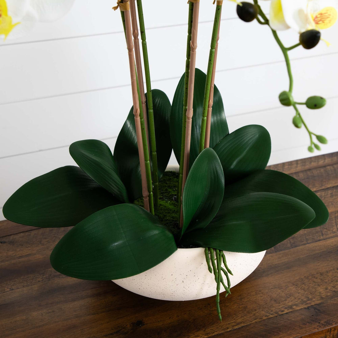 indoor orchid planter Nearly Natural 23 in. Artificial Phalaenopsis Orchid Arrangement in Ceramic Planter, White