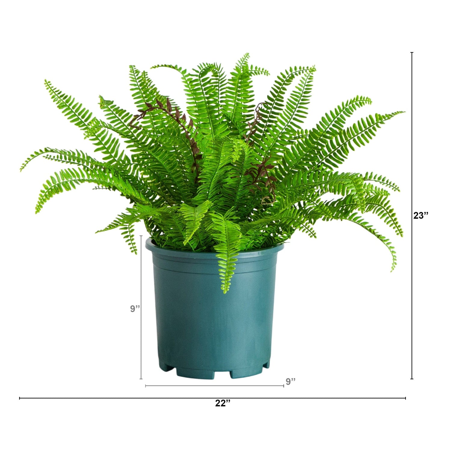 23" UV Resistant Artificial Real Touch Boston Fern Plant (Indoor/Outdoor)
