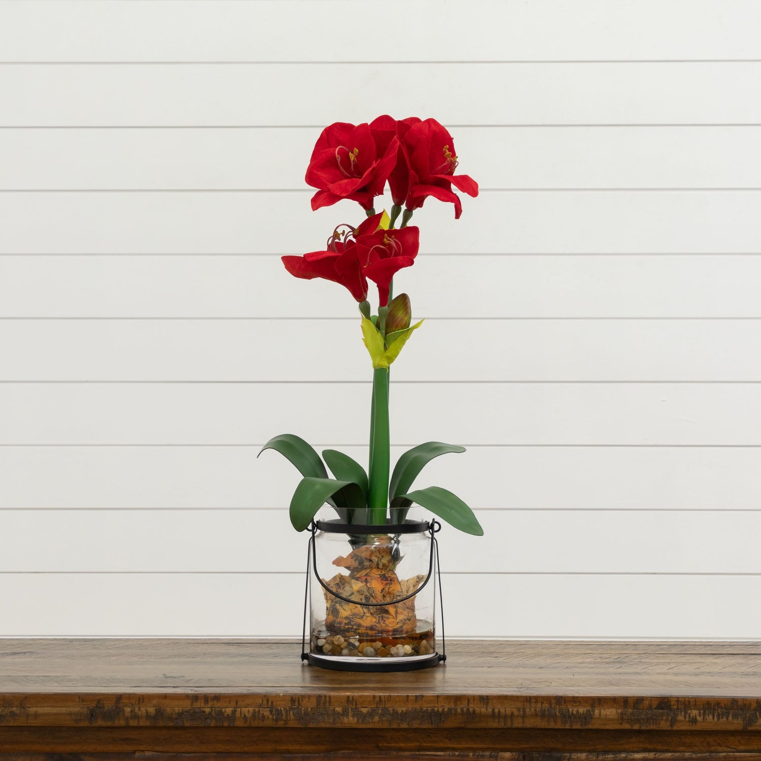 24” Amaryllis w/Vase