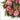24” Artificial Pink Hydrangea Berry Wreath