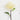 24" Artificial Pincushion Protea Flower Stem - Set of 4