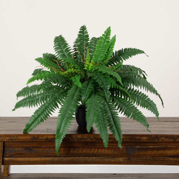 24” Artificial Self-Shaped Boston Fern Plant in Black Planter
