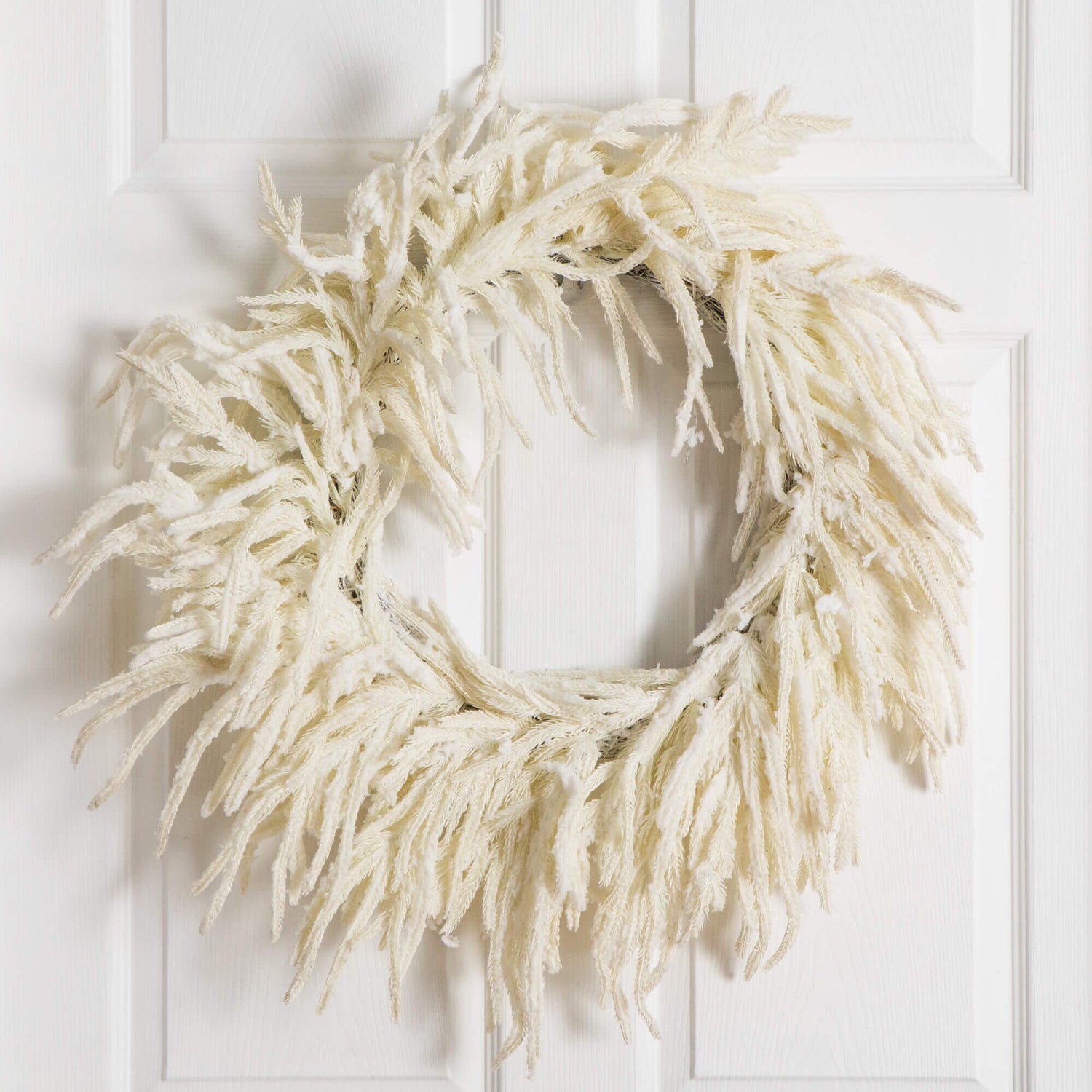 24" Artificia Real Touch White Norfolk Island Pine Wreath with Natural Look