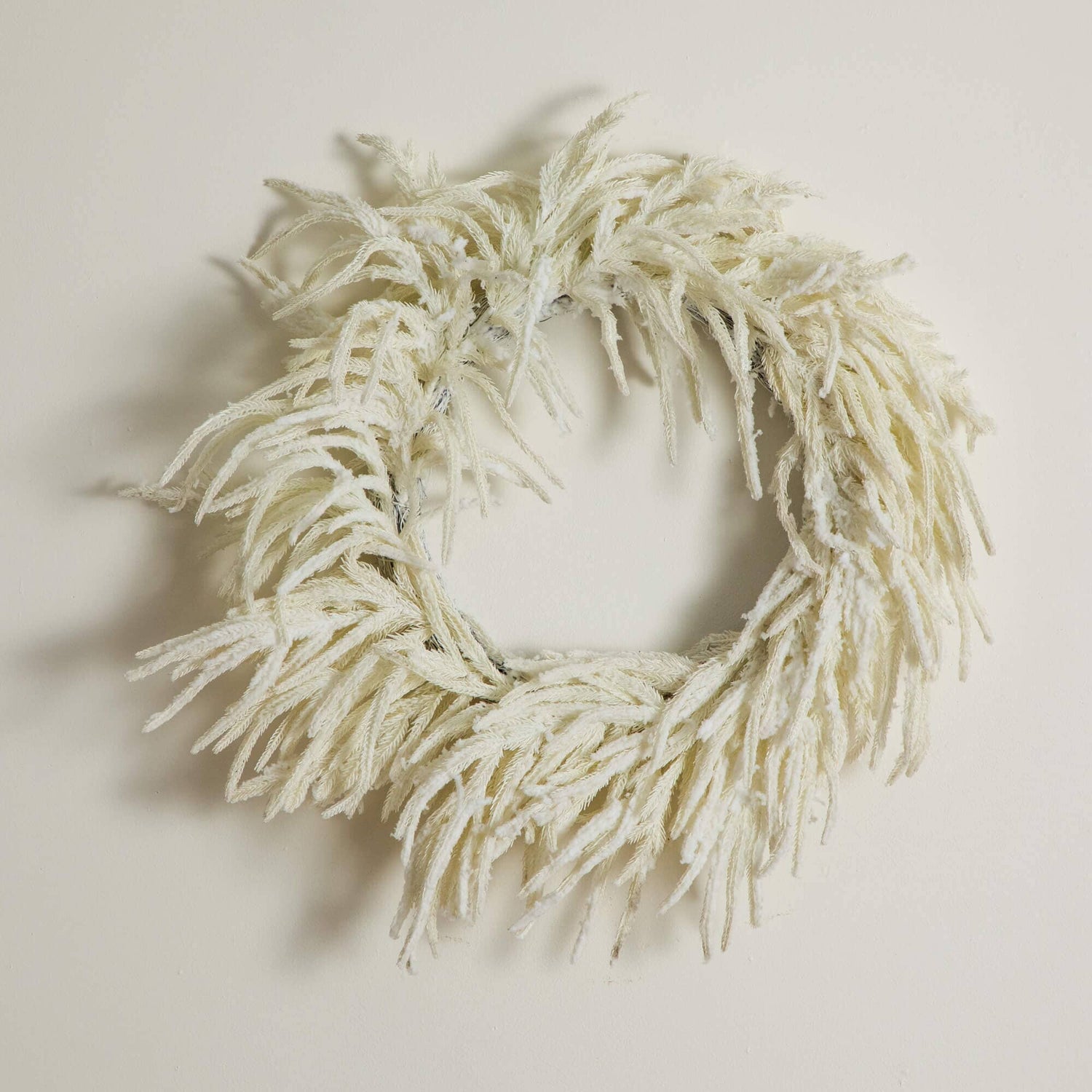 24" Artificia Real Touch White Norfolk Island Pine Wreath with Natural Look