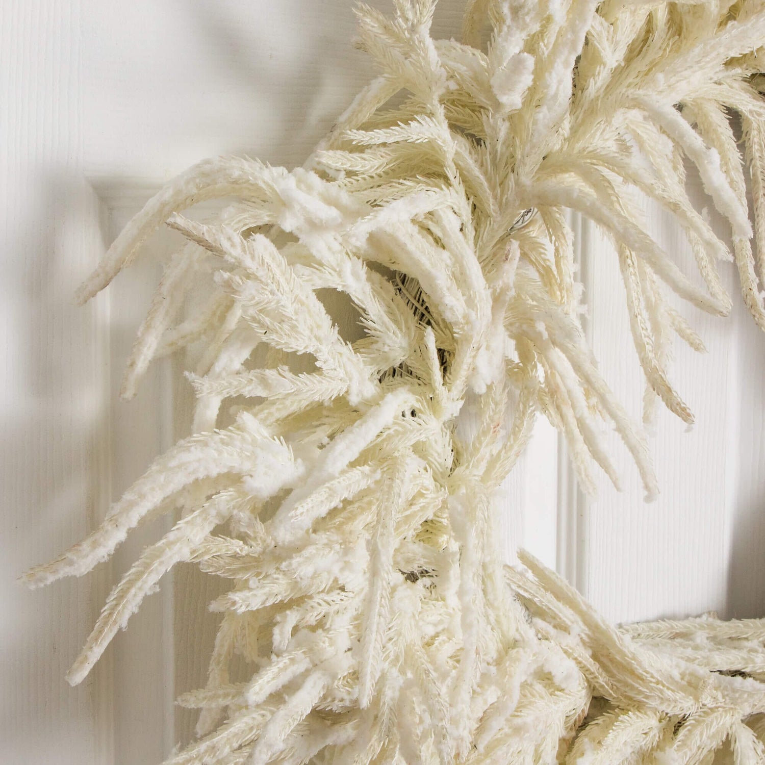 24" Artificia Real Touch White Norfolk Island Pine Wreath with Natural Look