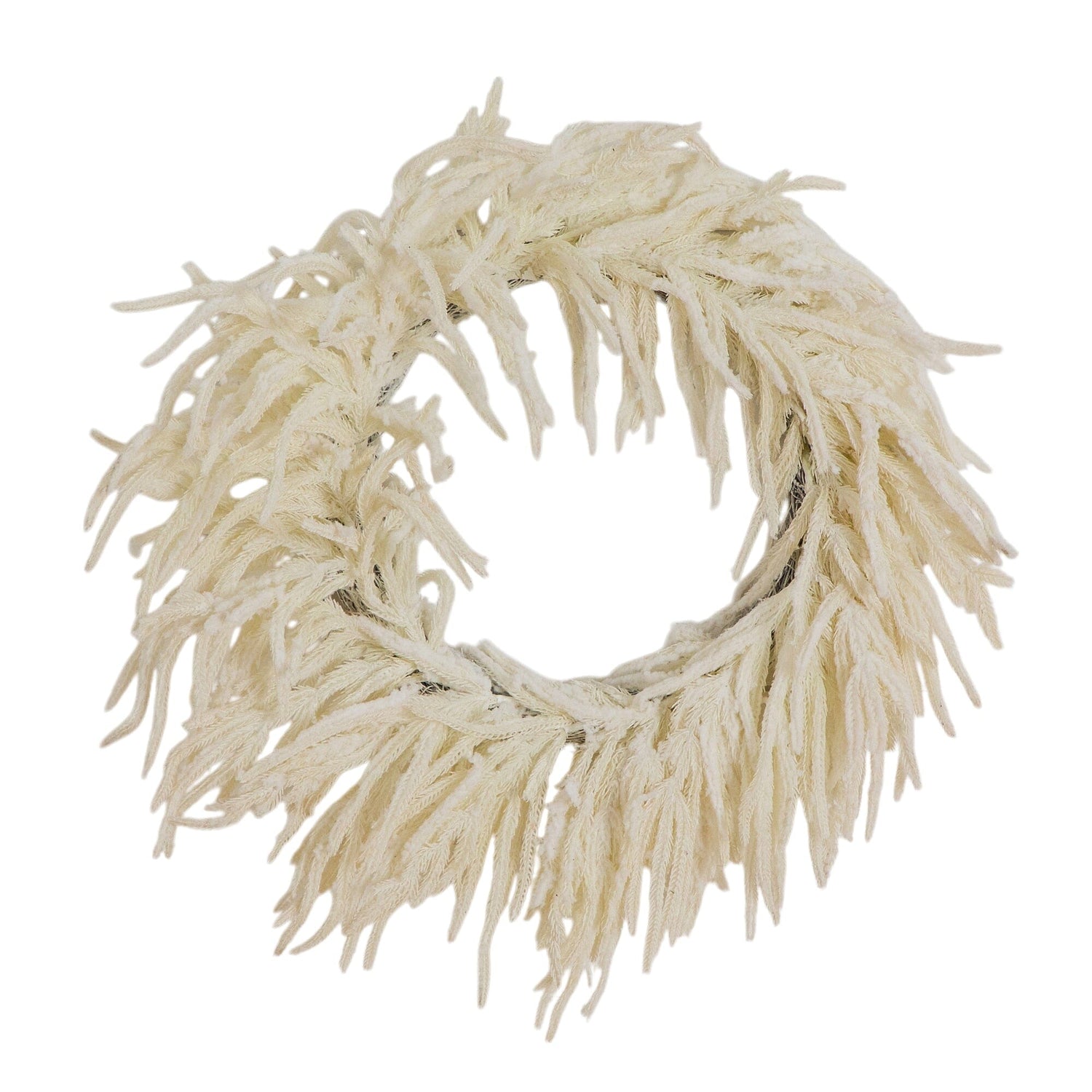 24" Artificia Real Touch White Norfolk Island Pine Wreath with Natural Look