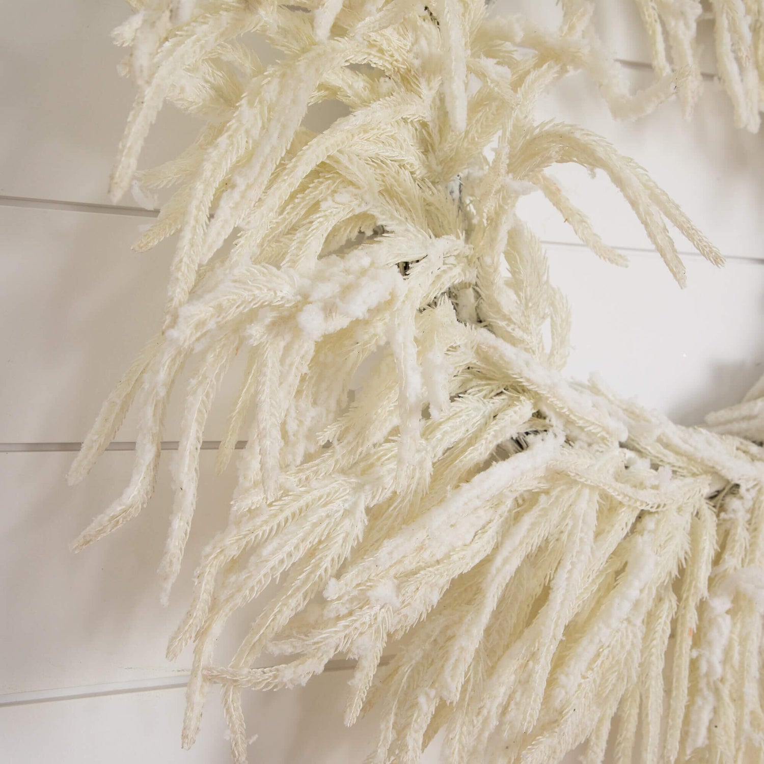 24" Artificia Real Touch White Norfolk Island Pine Wreath with Natural Look