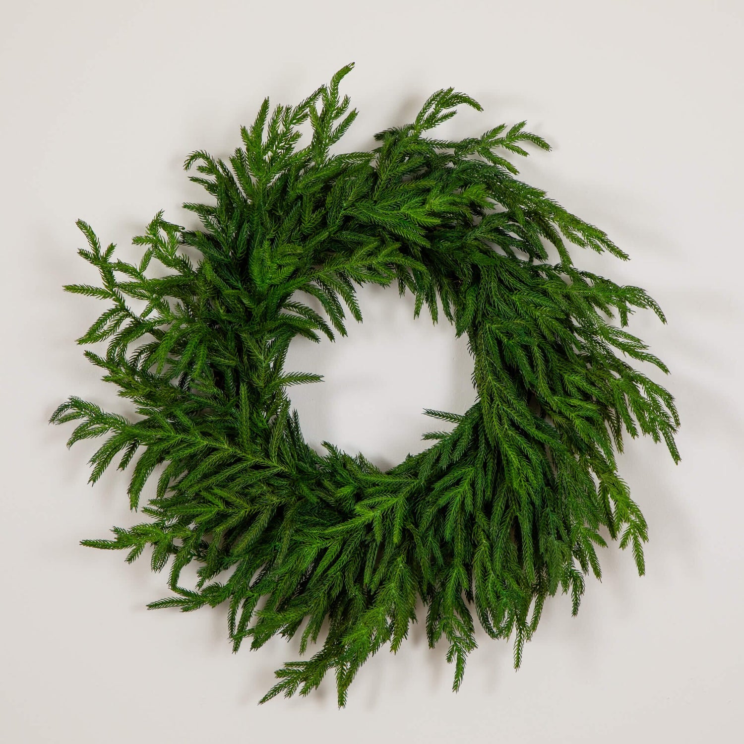 24" Artificial Real Touch Norfolk Island Pine Wreath with Natural Look
