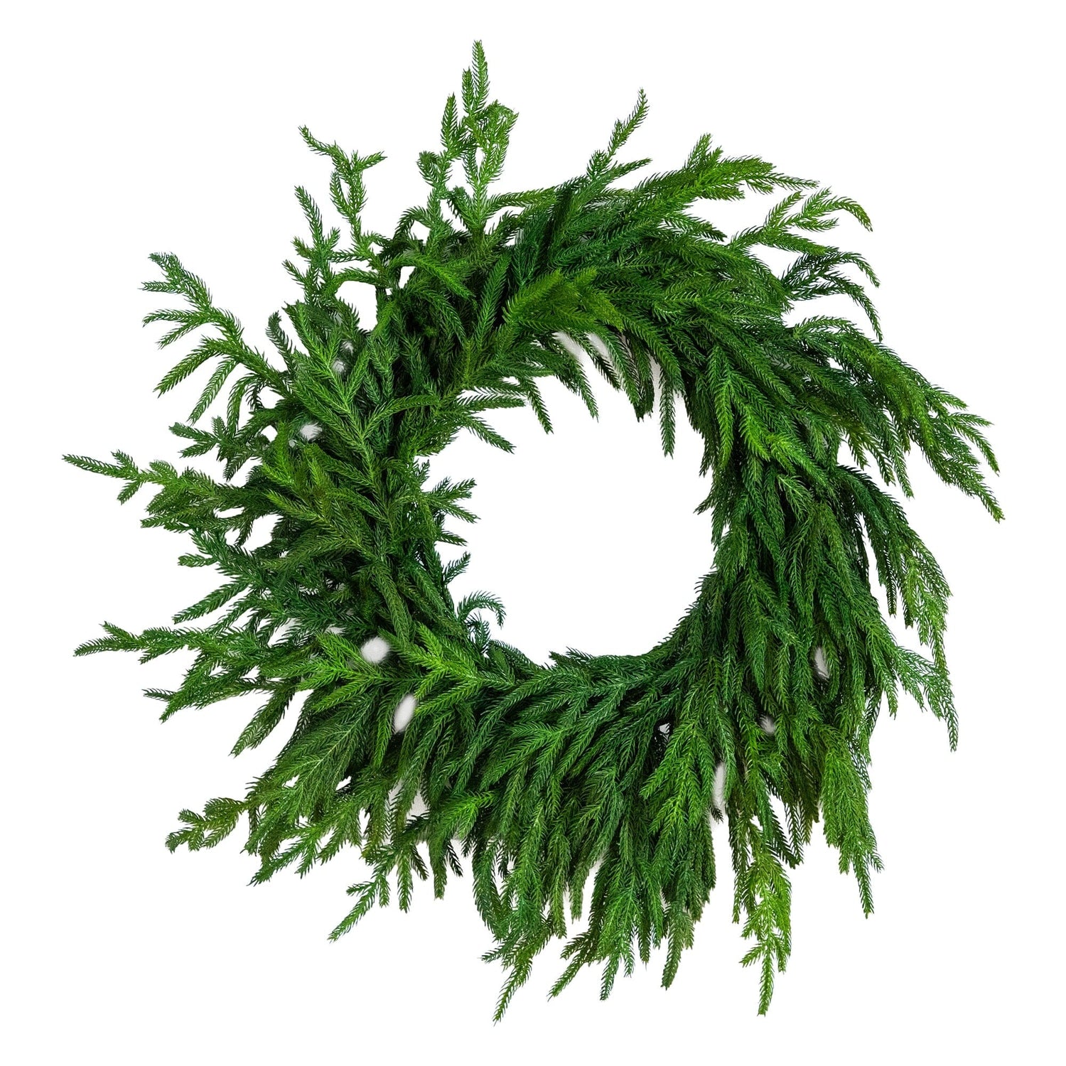 24" Artificial Real Touch Norfolk Island Pine Wreath with Natural Look