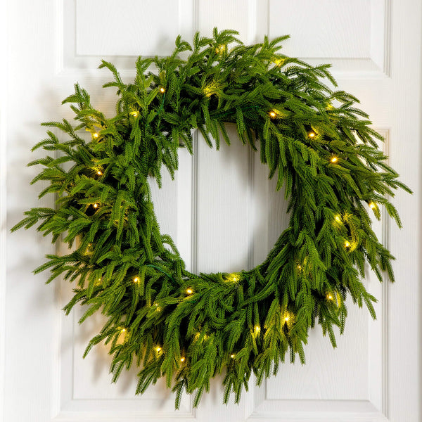 24" Pre-Lit Artificial Real Touch Norfolk Island Pine Wreath with 50 Warm White LED Lights and Natural Look