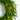 24" Pre-Lit Artificial Real Touch Norfolk Island Pine Wreath with 50 Warm White LED Lights and Natural Look