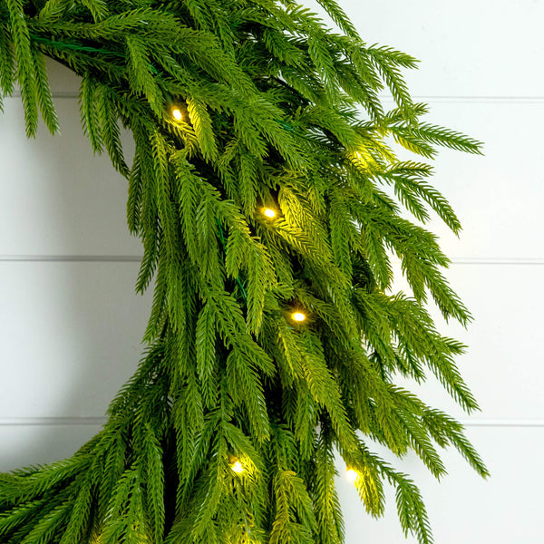 24" Pre-Lit Artificial Real Touch Norfolk Island Pine Wreath with 50 Warm White LED Lights and Natural Look