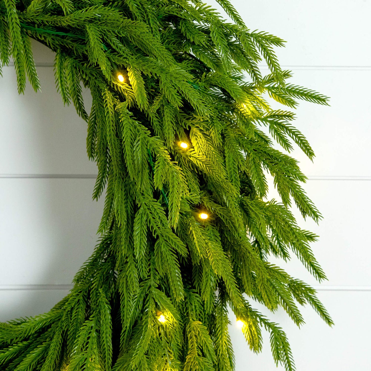 24" Pre-Lit Artificial Real Touch Norfolk Island Pine Wreath with 50 Warm White LED Lights and Natural Look