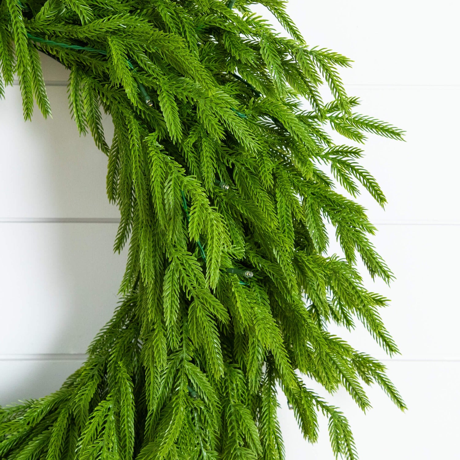 24" Pre-Lit Artificial Real Touch Norfolk Island Pine Wreath with 50 Warm White LED Lights and Natural Look
