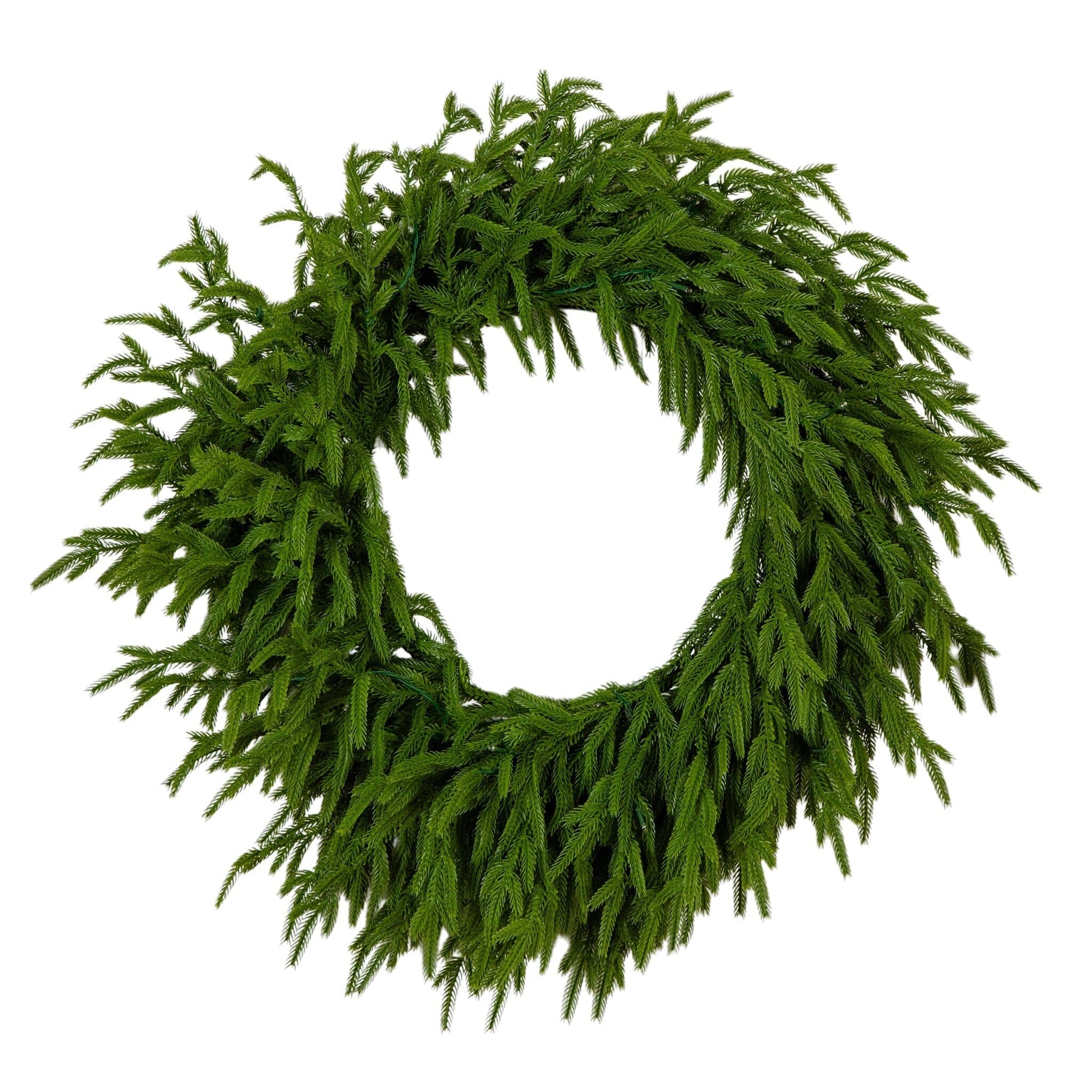 24" Pre-Lit Artificial Real Touch Norfolk Island Pine Wreath with 50 Warm White LED Lights and Natural Look