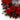 24" Poinsettia Wreath"
