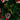 24" Pre-Lit Fiber Optic Artificial Christmas Tree with Ornaments, Poinsettia and Star Topper