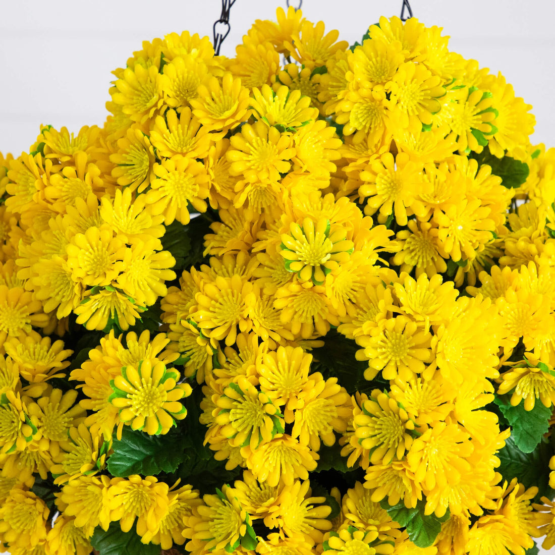 chrysanthemum plant indoor Nearly Natural 24 in. UV Resistant Artificial Chrysanthemum Hanging Basket Orange