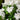 24" UV Resistant Artificial Hydrangea Hanging Plant (Indoor/Outdoor) - Set of 2