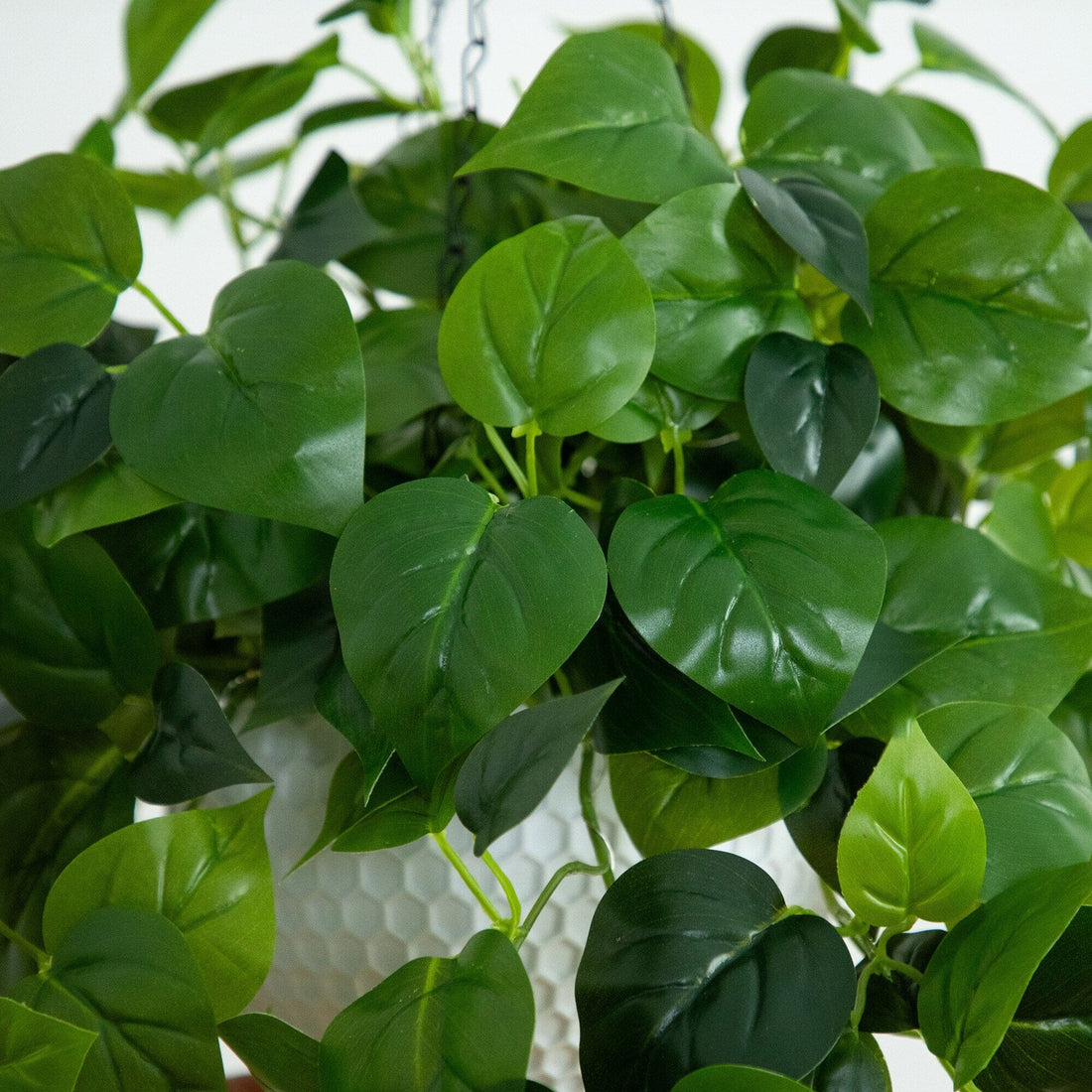 24” UV Resistant Artificial Philodendron with 50 Warm White LED Lights in  White Hanging Basket