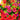 24" UV Resistant Artificial Daisy Hanging Basket DIY Kit (Indoor/Outdoor)