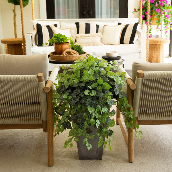 24" UV Resistant Artificial Fittonia Hanging Plant (Indoor/Outdoor) - Set of 3