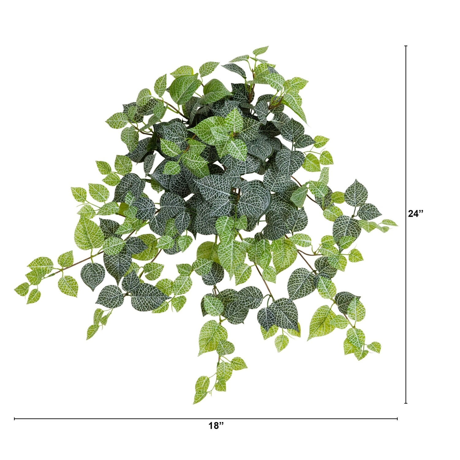 24" UV Resistant Artificial Fittonia Hanging Plant (Indoor/Outdoor) - Set of 3