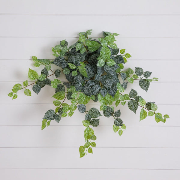 24" UV Resistant Artificial Fittonia Hanging Plant (Indoor/Outdoor) - Set of 3