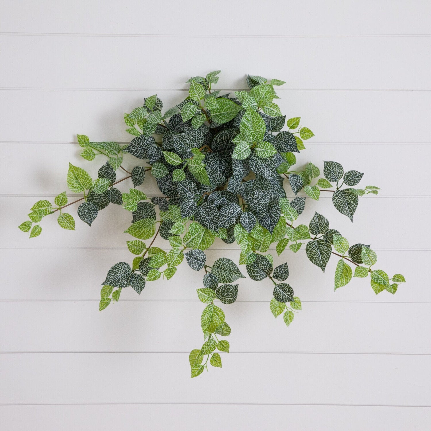 24" UV Resistant Artificial Fittonia Hanging Plant (Indoor/Outdoor) - Set of 3