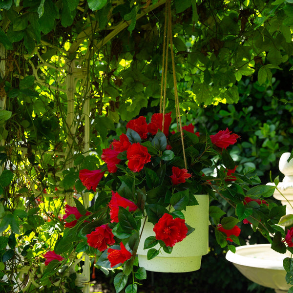 24" UV Resistant Artificial Hibiscus Hanging Plant (Indoor/Outdoor) - Set of 2