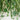 24" UV Resistant Artificial Spider Bush (Indoor/Outdoor) - Set of 3