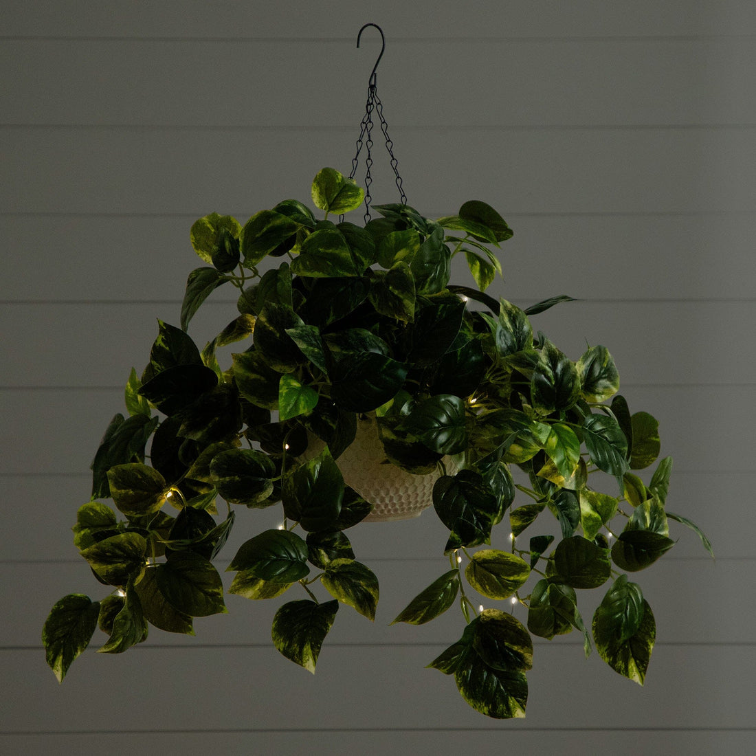 can pothos grow in artificial light 24”UV Resistant Artificial Pothos with 50 Warm White LED Lights in White Hanging Basket