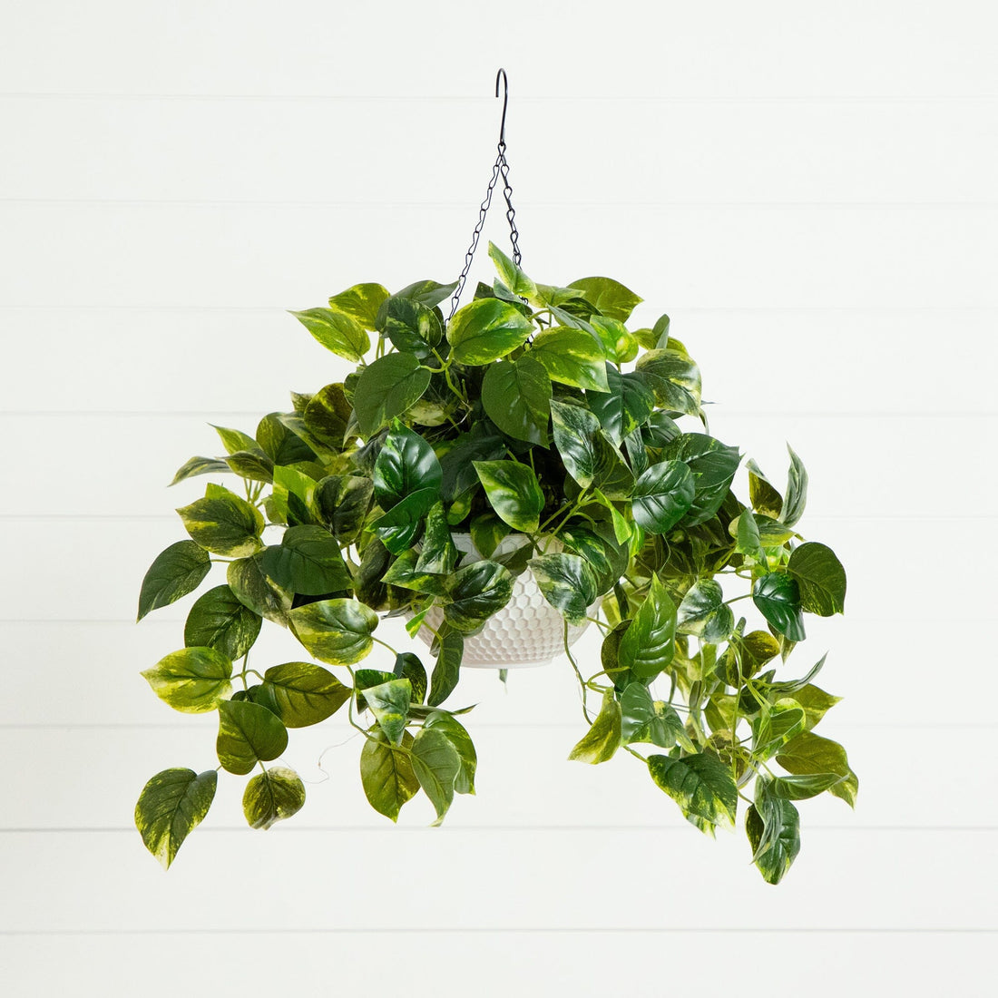 artificial pothos 24”UV Resistant Artificial Pothos with 50 Warm White LED Lights in White Hanging Basket