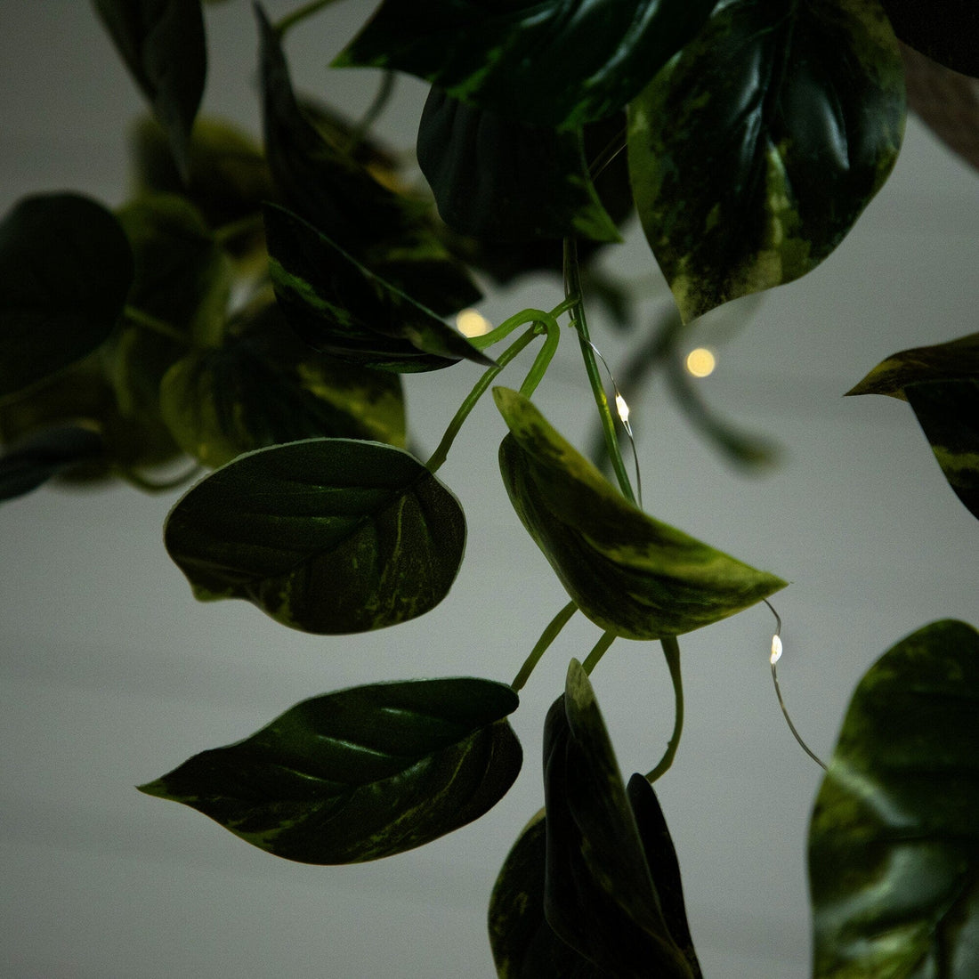 24UV Resistant Artificial Pothos with 50 Warm White LED Lights in White  Hanging Basket | Nearly Natural
