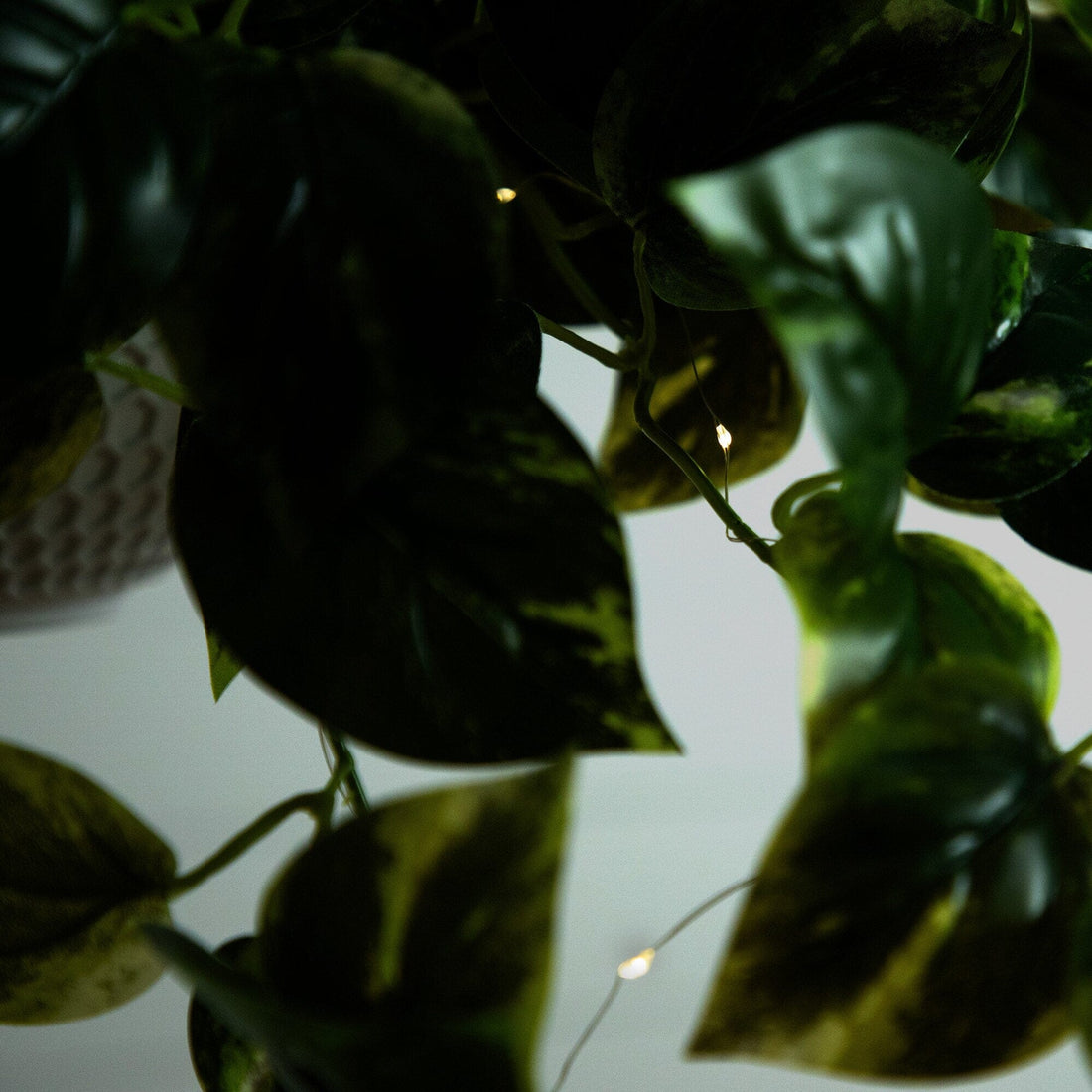 lighting for pothos 24”UV Resistant Artificial Pothos with 50 Warm White LED Lights in White Hanging Basket