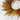 25” Sorghum Harvest Artificial Wreath